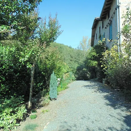 La Salamandre *